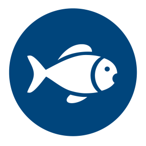 Worm gear reducers for aggressive environments and high hygiene requirements