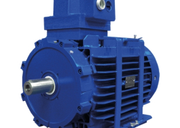 D_E - D_U - D_Z - D_W