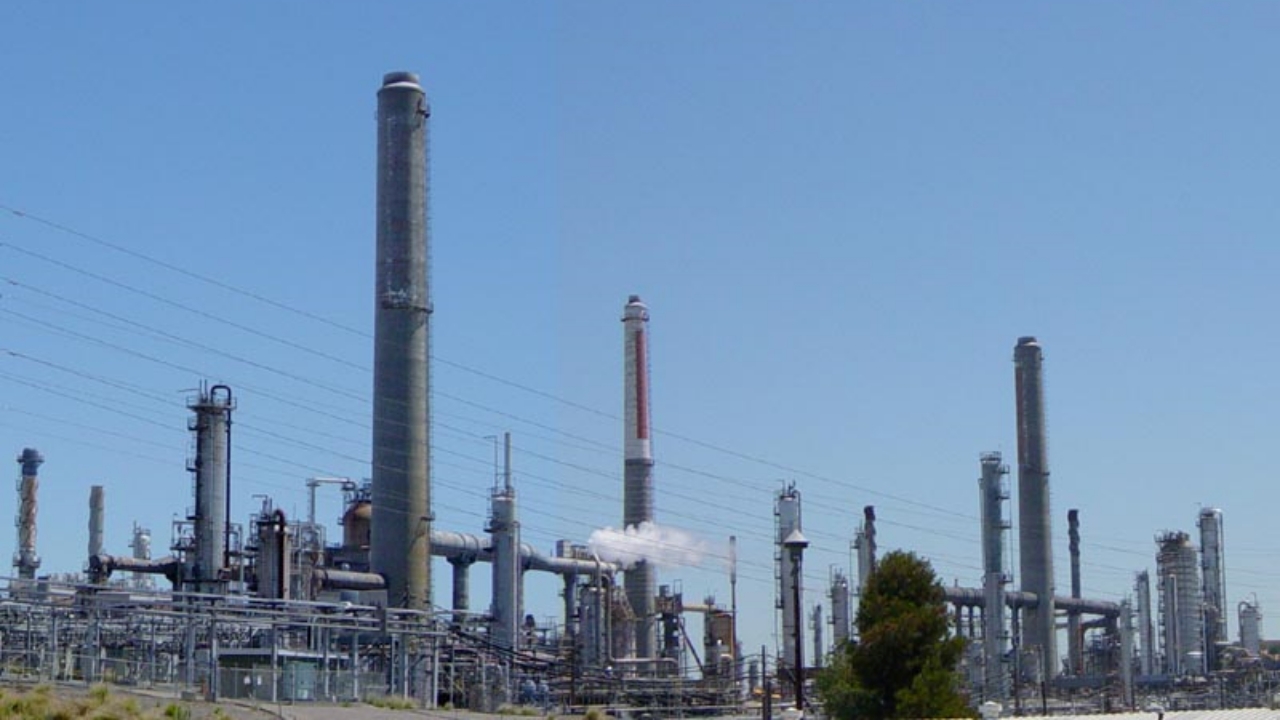 Jual Weigh Feeder Conveyor Akurasi Tinggi – Gratis Konsultasi