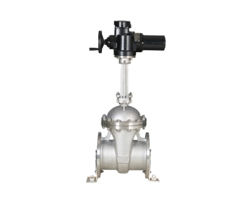 SUPMEA Motorized Gate Valves for Remote Control