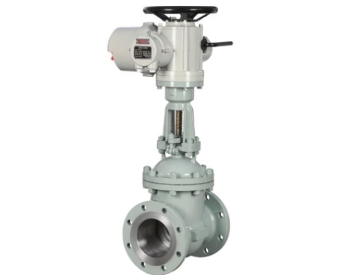 VINCER VE30-EGA Electric Actuated Gate Valves