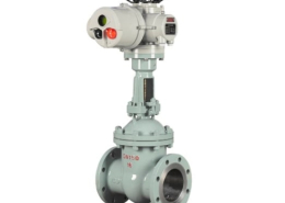 VINCER VE30-EGA Electric Actuated Gate Valves