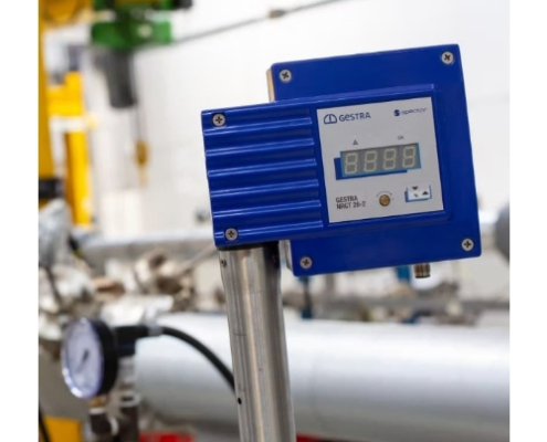 GESTRA NRGT 26-2 Level Transmitter