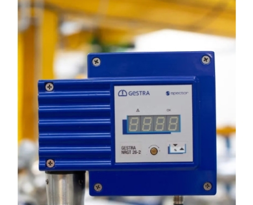 GESTRA NRGT 26-2 Level Transmitter