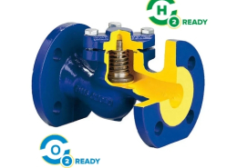 ZETKAMA zCHE Fig. 287 Check valve High-Temperature PN6-PN40