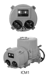 AUTOMA Electric Actuator Rotary Type Actuator