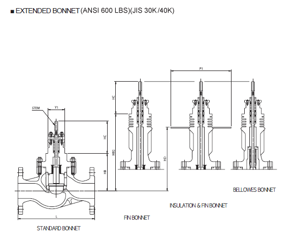 AUTOMA – Globe Valve Globe Control Valve