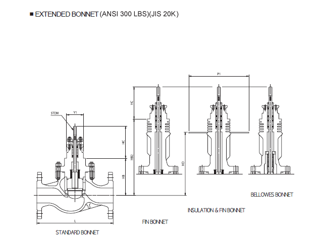 AUTOMA – Globe Valve Globe Control Valve