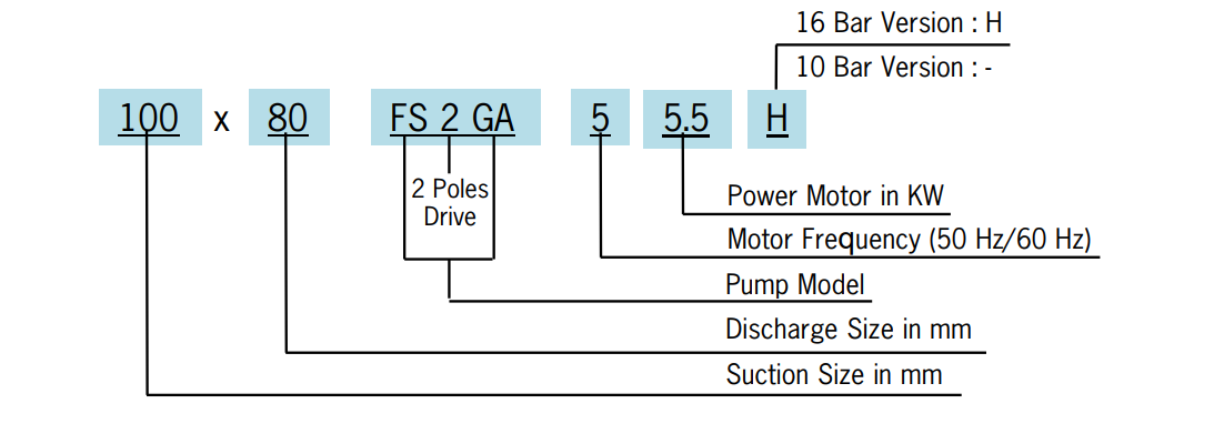 EBARA Model FSA FSHA FSJA FSGA FSKA FSLA FSNA End Suction Volute Pump