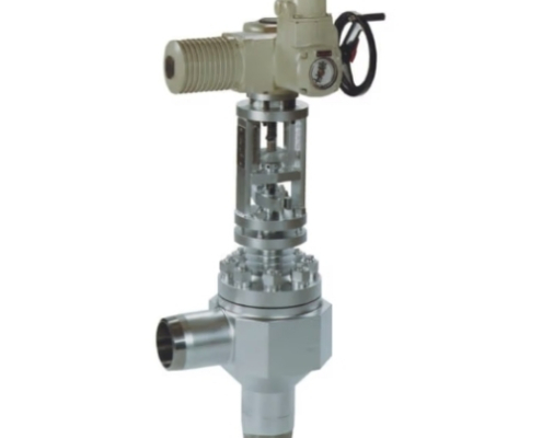 GESTRA ZK 29 ASME Class 900 Control Valve | ZK Radial Stage Nozzle® DN 25–150